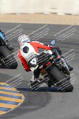 media/Feb-04-2023-SoCal Trackdays (Sat) [[8a776bf2c3]]/Turn 10 Backside (1010am)/